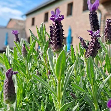 Bingers Kleine Scheune Willich Dış mekan fotoğraf